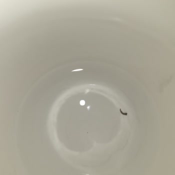 Eylül Su Eylül Damacana İçindeki Cisim