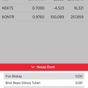 Ziraat Yatırım Borsa Hesabımdaki Parayı Aktaramıyorum Ki Kredi Kartımı Ödeyemedim