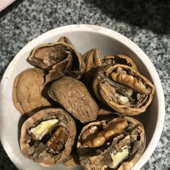 İçmeler Tatbak Kurtlu Ceviz