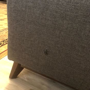 Enza Home Satış Sonrası Hizmet Mağduriyeti