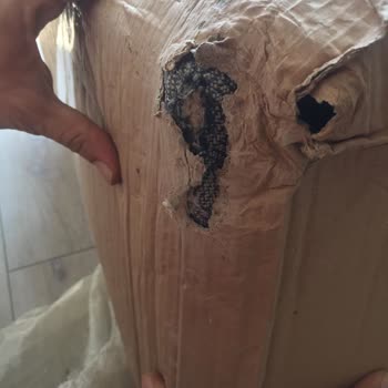 Enza Home Yırtık Koltuk Teslimatı