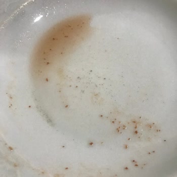 Öncü Salça Öncü Domates Salçası Kum Sorunu