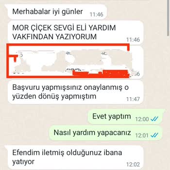 Finans Kuruluşları Adıyla Dolandırıcılık P*****a Mor Çiçek Sevgi Eli Yardım Vakfı Hakkında Şikayet