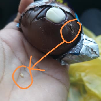 Ozmo Yumurtadan Canlı Kurt Çıktı