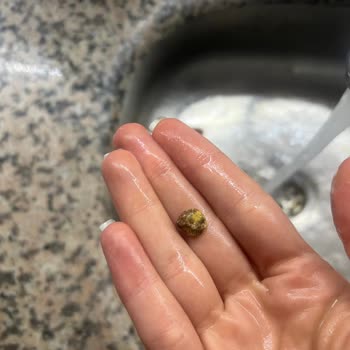 Çerezya A101 Çerezin İçinden Taş Çıktı