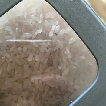 Şok Market - Anadolu Mutfağı Baldo Pirinç İçerisinden Böcekler Çıktı