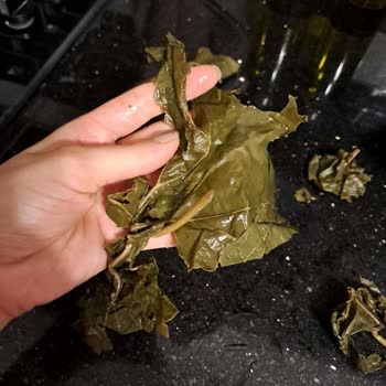 Yurtalan Zade Asma Yaprağı Düzgün Çıkmadı