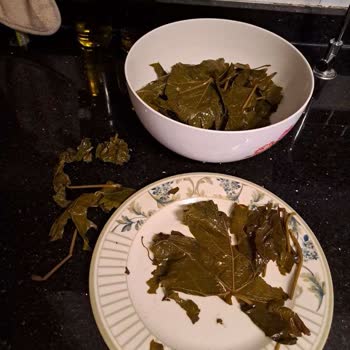 Yurtalan Zade Asma Yaprağı Düzgün Çıkmadı