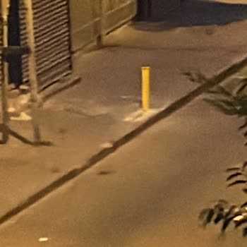 Esenler Belediyesi Kaldırım İşgali Ve Mantar Koyulması Talebi
