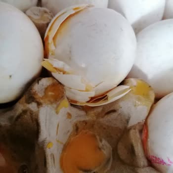 Trendyol Hızlı Market Bozuk Yumurta Satışı