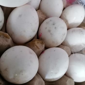 Trendyol Hızlı Market Bozuk Yumurta Satışı