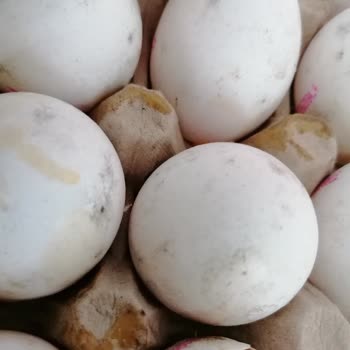 Trendyol Hızlı Market Bozuk Yumurta Satışı