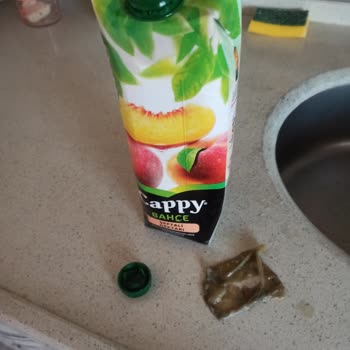Cappy Şeftali Meyve Suyu Yabancı Cisim