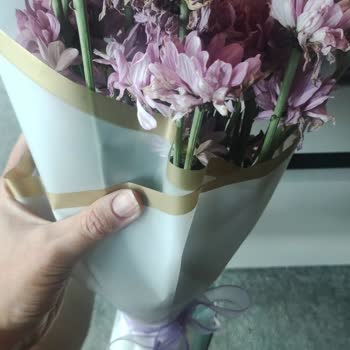 Osevio.com Hem İstediğim Sipariş Gelmedi, Hem De Solmuş