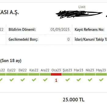 Vakıf Katılım Bankası Ödenmiş Borcun Gecikmiş Görünmesi