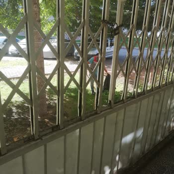 Melikgazi Belediyesi Ağaçlara Zarar Verme