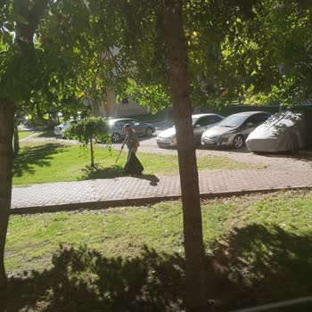 Melikgazi Belediyesi Ağaçlara Zarar Verme