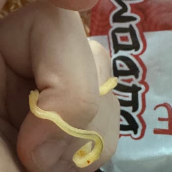 Dudomi Erişteden Kıl Çıktı
