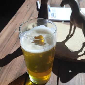 Antalya Lara Serenty'de Temizlik Yok, Paramızın İadesini Yapmıyorlar