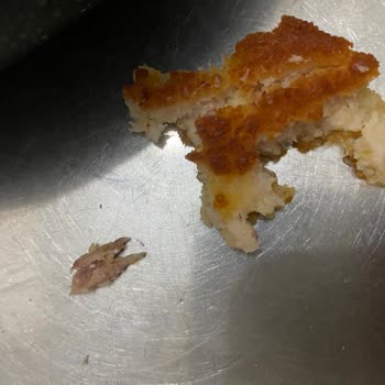 Erpiliç Şinitzelin İçinden Kemik Çıktı