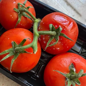 Yemeksepeti Market Yemek Sepeti Bozulmuş Ürün Mağduriyeti
