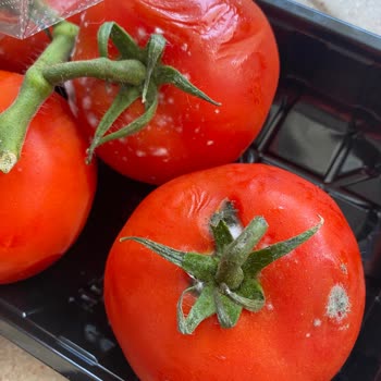Yemeksepeti Market Yemek Sepeti Bozulmuş Ürün Mağduriyeti