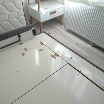 Aşıroğlu Nakliyat Taşınmadaki Sorunlar Kötü İşçilik