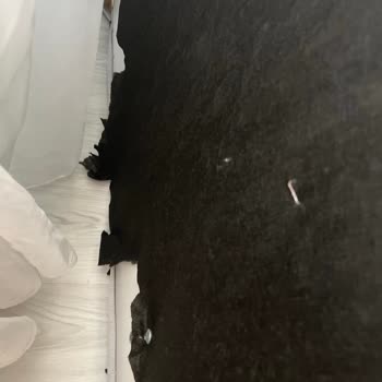 Ahs Mobilya Ve Halı İlgisiz Ve Yanlış Tutum