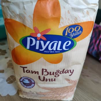 Piyale Undan Böcek Ve Yumurtalarının Çıkması