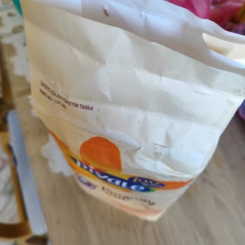 Piyale Undan Böcek Ve Yumurtalarının Çıkması