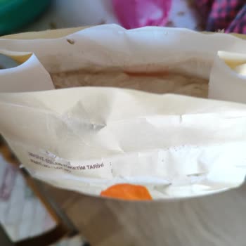 Piyale Undan Böcek Ve Yumurtalarının Çıkması