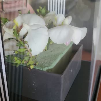 ÇiçekSepeti Çok Kötü Gönderimi Yapılan Bir Yaş Günü Hediyesi;