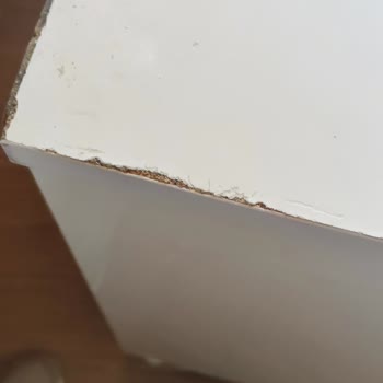 Eylül Nakliyat Ankara Eşyalarıma Zarar Verdi