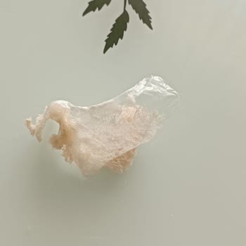 BİM Ekmek İçinden Poşet Çıktı