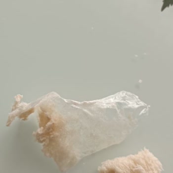 BİM Ekmek İçinden Poşet Çıktı