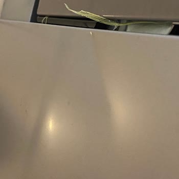 Bodrum Bosch Bulaşık Makinesi