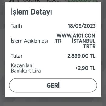 A101 İnternet Sipariş Sorumsuzluğu