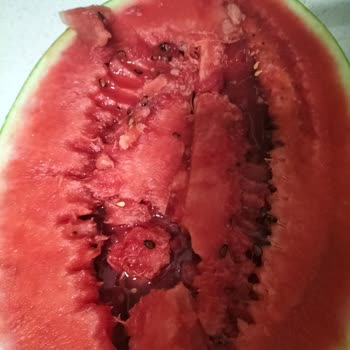 Migros Bozulmuş Küflenmiş Ürün Gönderimi