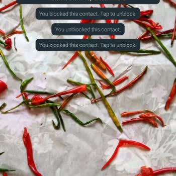 WhatsApp'tan Gelen Linkedin Mesajı