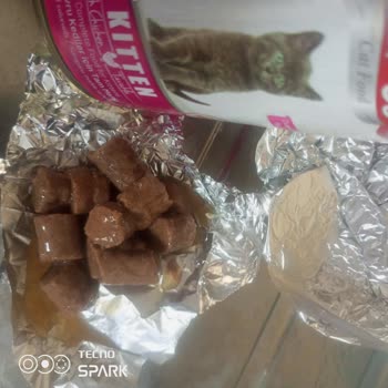 Energy Kedi Maması Energy Kitte Kedi Maması