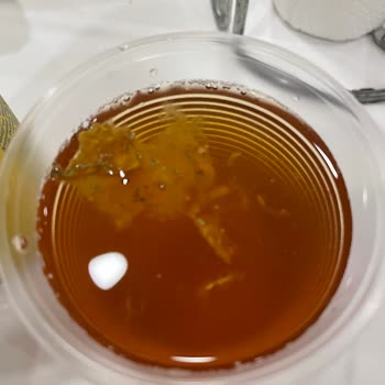 Fuse Tea Soğuk Çayın İçinden Çıkan