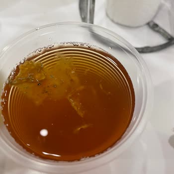 Fuse Tea Soğuk Çayın İçinden Çıkan