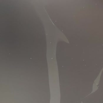 7Renk Bilişim Kusurlu Monitörü Kabul Etmiyor