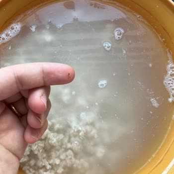 Pendirhan Yöresel Ürünler Beyaz Tarhana İçin