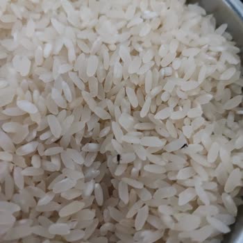 Migros'tan Aldığım 5kg Lik Pirinçten Böcek Çıktı