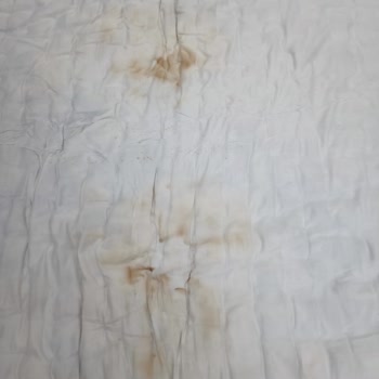 Şefkat Halı Yıkama Mağduriyeti