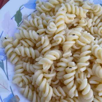 Mutlu Makarna'dan Tüyler Ürperten Bir Deneyim...