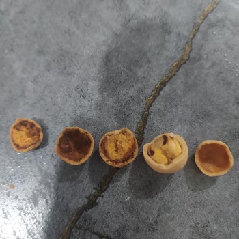 Halktan Kuruyemiş Kuruyemişe Eski Ve Yeni Urunu Karıştırmaları
