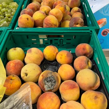 Migros Çürük Meyve Satışı