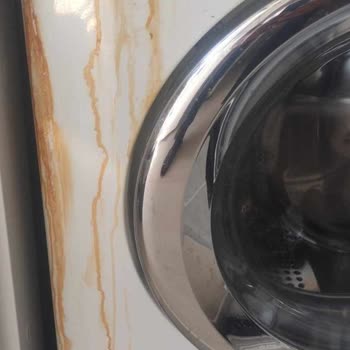 Beko Çamaşır Makinem İçinden Küf Yaptı